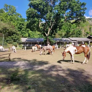  Hébergement de vacances Ranch Black Horse